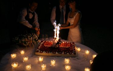 CUTTING THE CAKE