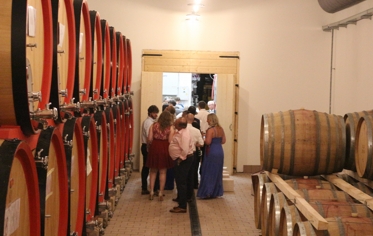 GUIDED TOURS AND WINE TASTINGS